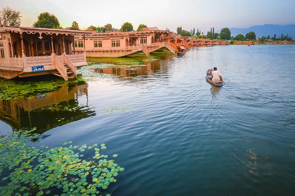 nigeen lake in kashmir brown chinar kashmir