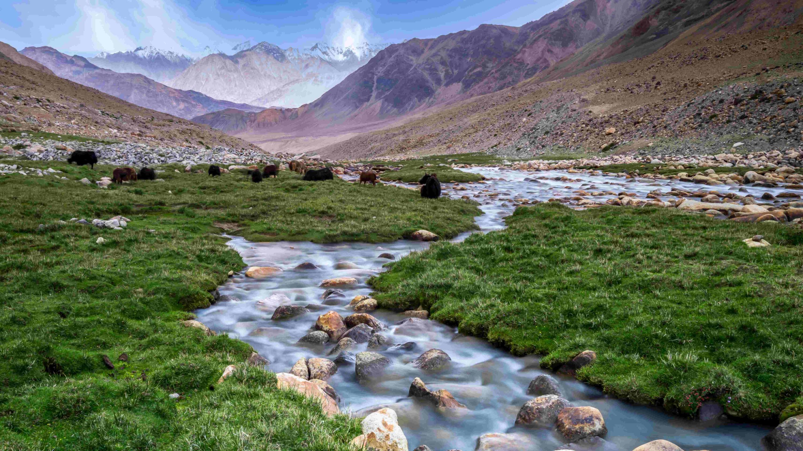 sindh valley in kashmir brown chinar kashmir scaled