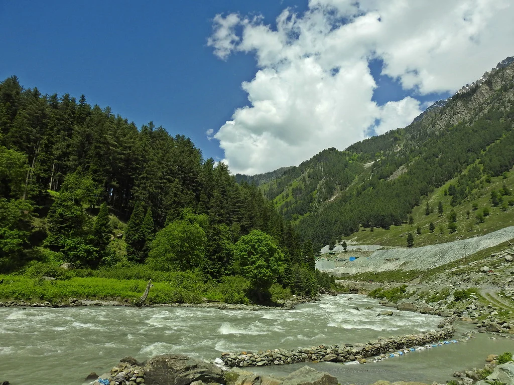 sindh valley in kashmir brown chinar kashmir