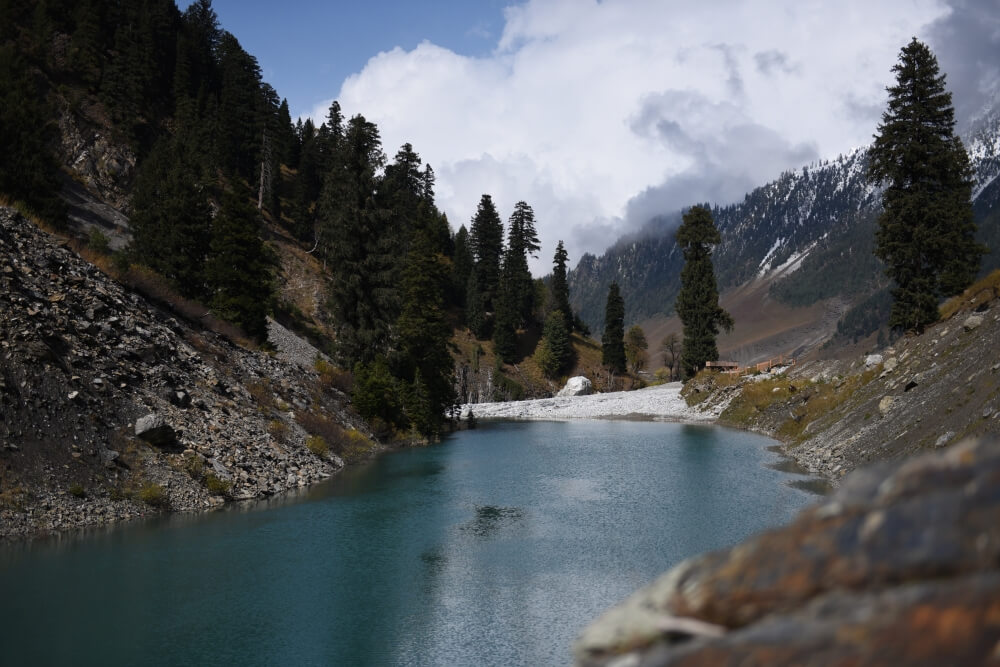 sindh valley in kashmir brown chinar kashmir