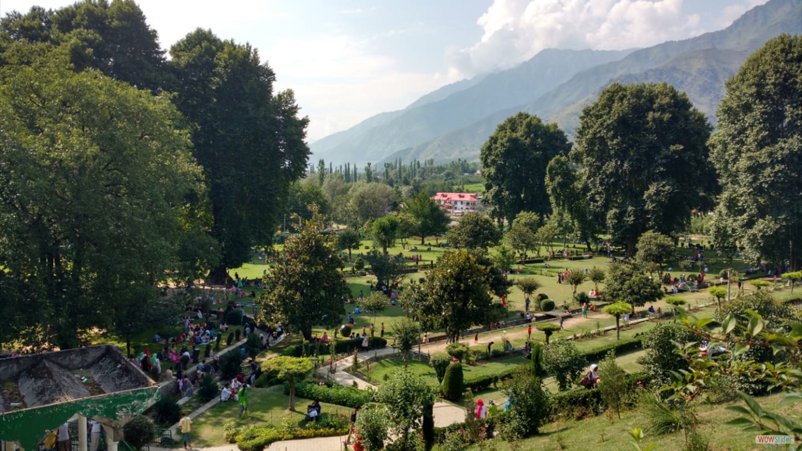 Harwan Garden brown chinar kashmir