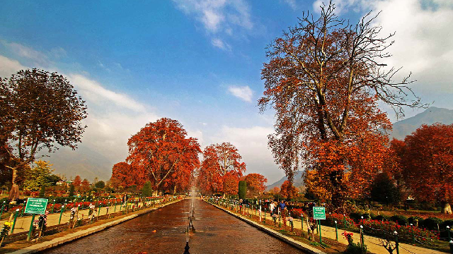 Kashmir in November