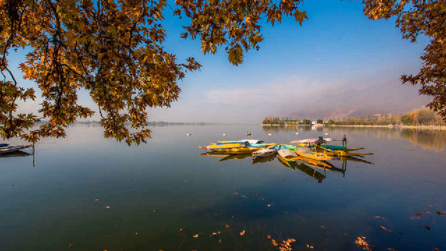 Kashmir in October