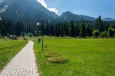 Mini Switzerland Kashmir brown chinar kashmir