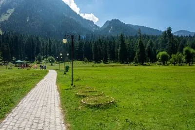 Mini Switzerland Kashmir brown chinar kashmir