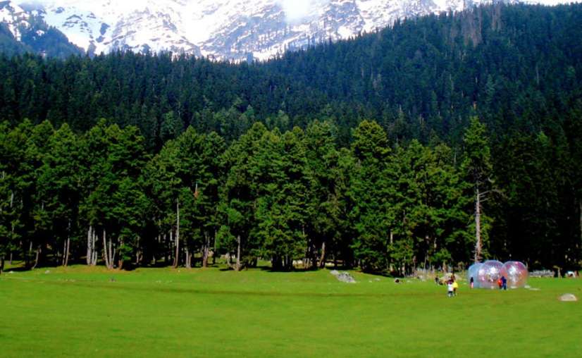 Mini Switzerland Kashmir brown chinar kashmir