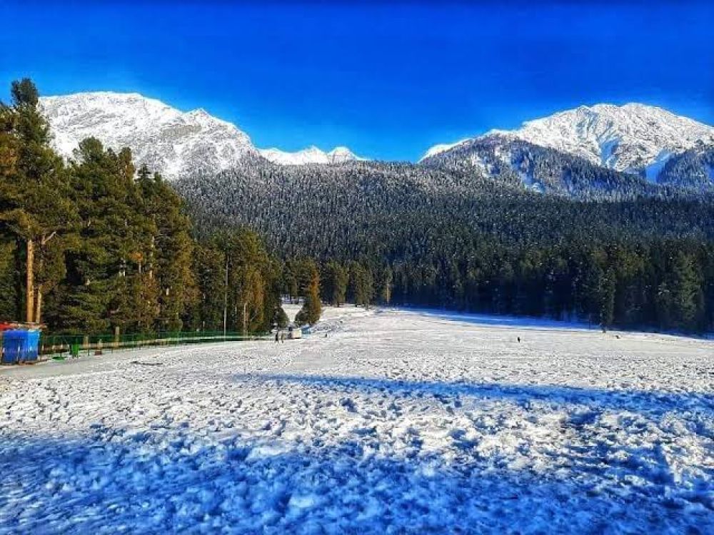 Mini Switzerland Kashmir brown chinar kashmir