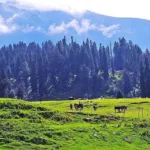 Can Beginners ski in Gulmarg