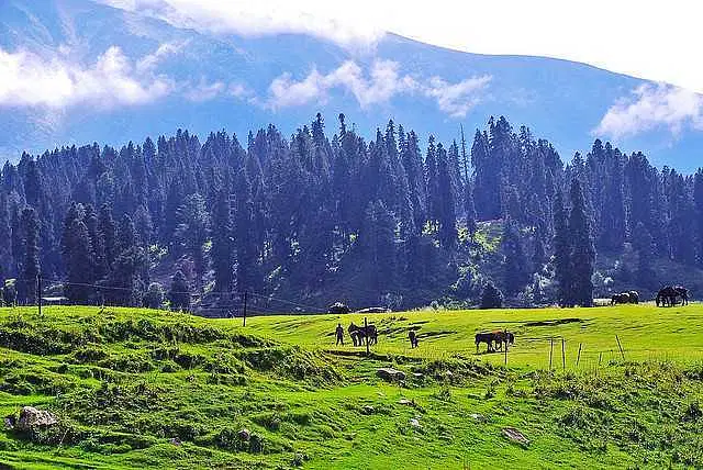 Can Beginners ski in Gulmarg