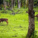 Best Tour Packages to Visit Kashmir