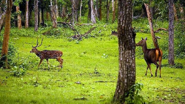 Best Tour Packages to Visit Kashmir