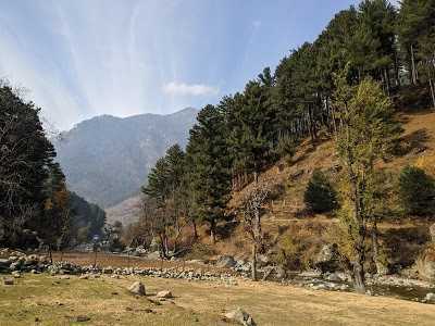 Athwatoo Bandipora brown chinar kashmir