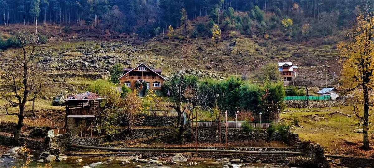Athwatoo Bandipora brown chinar kashmir