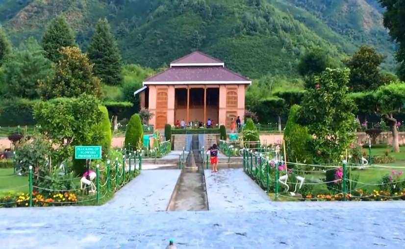 Chashme Shahi Garden brown chinar kashmir