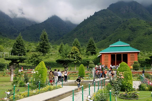 Chashme Shahi Garden brown chinar kashmir