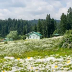 Is it safe to visit Yousmarg