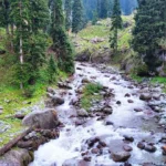 How to Reach Doodhpathri from Srinagar