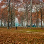 Naseem Bagh Srinagar