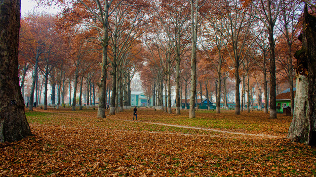 Naseem Bagh Srinagar