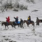 Pony Ride in Kashmir