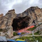 Amarnath brown chinar kashmir
