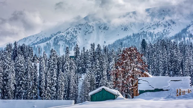 Winter Wonderland: A Snowy Adventure in Gulmarg