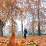 autum camera