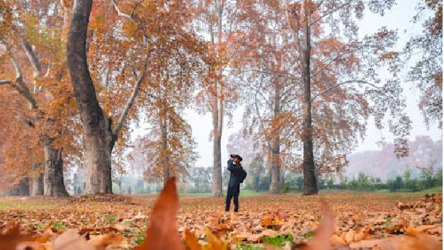 autum camera