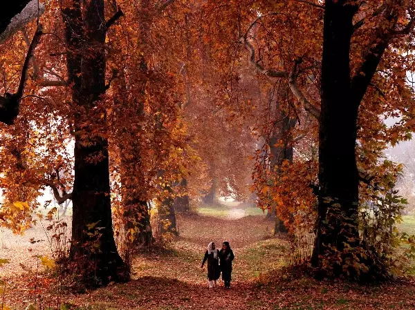 autumn 2