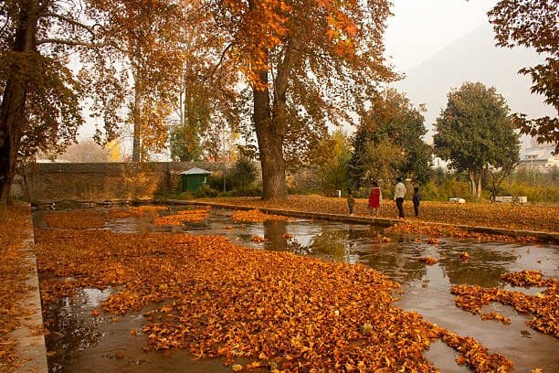 autumn photo2