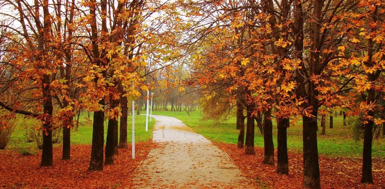 autumn