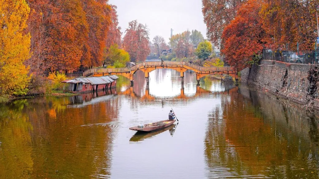 autumn3