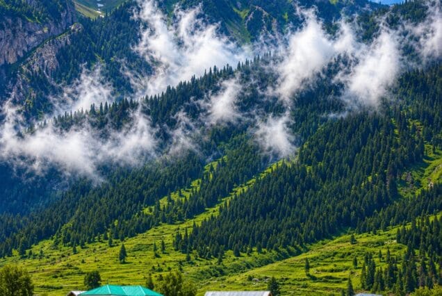 Gurez Valley Tour Package