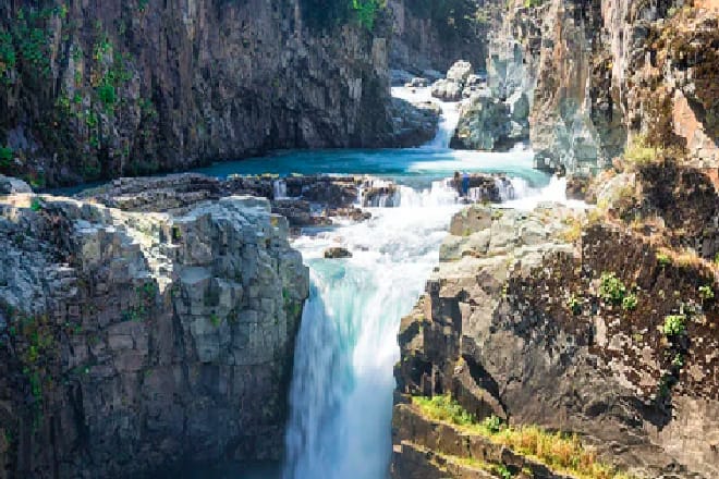 aharbal brownchinarkashmir