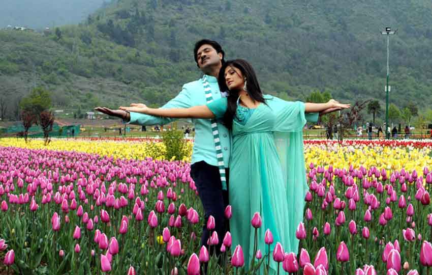 kashmir honeymoon brownchinarkashmir