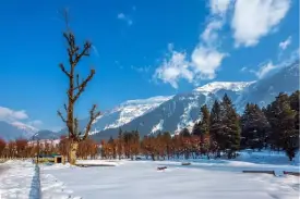 3N 4D Kashmir Budget Tour Package