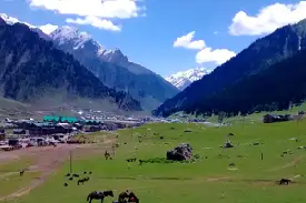 5N 6D Kashmir Summer Tour Packages (1)