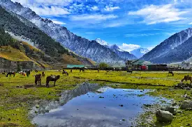 5N 6D Kashmir Summer Tour Packages (2)
