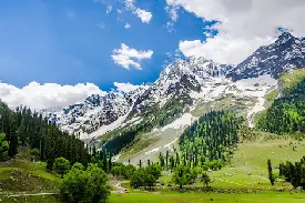 6N 7D Kashmir Budget Tour Package (2)