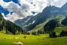 7N 8D Kashmir Budget Tour Package (2)