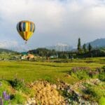 Kashmir Visit in May June with Family brownchinarkashmir (1)