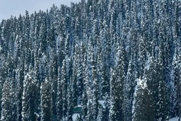 Winter Kashmir Tour Package for 6 Nights 7 Days
