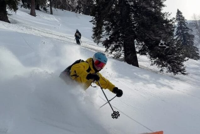 Gulmarg Winter Snow Tour Package