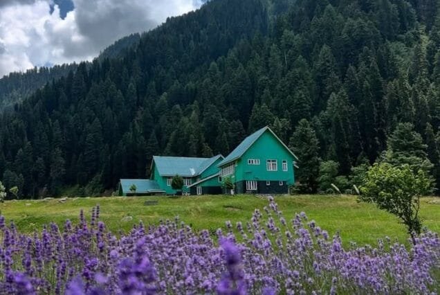 Summer Kashmir Tour Package 5 Night 6 Days