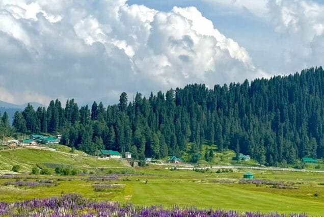 Summer Kashmir Tour Package 5 Night 6 Days