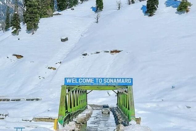 Kashmir Budget Tour Package 7 Night 8 Days