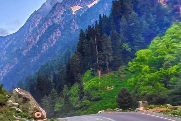 Kashmir summer tour package 7 Night 8 Days