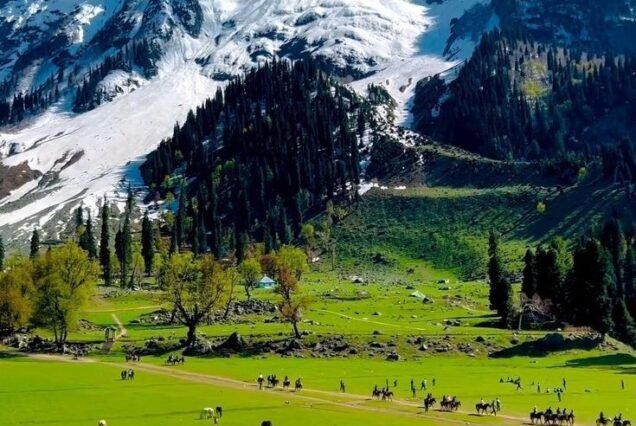 Kashmir summer tour package 6 Night 7 Days