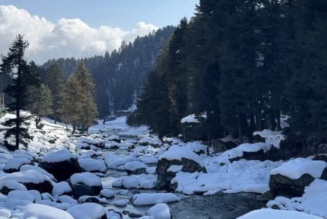Kashmir Tour Package 4 Night 5 Days