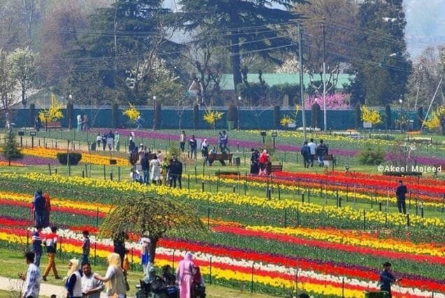 Kashmir summer tour package 4 Night 5 Days